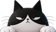 Cosmo, the Workraft cat, peeks over the top of the demo form